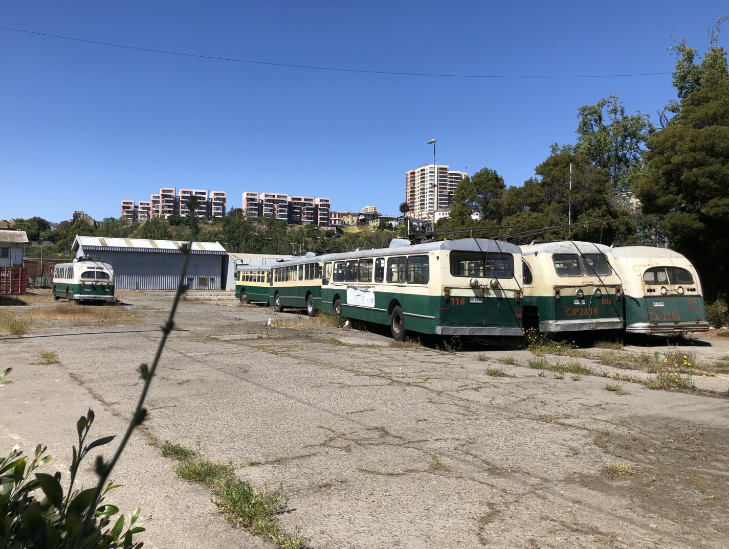 Вальпараисо, Pullman-Standard TC-48 № 714; Вальпараисо, Pullman-Standard № 806; Вальпараисо, Pullman-Standard 45CX № 116