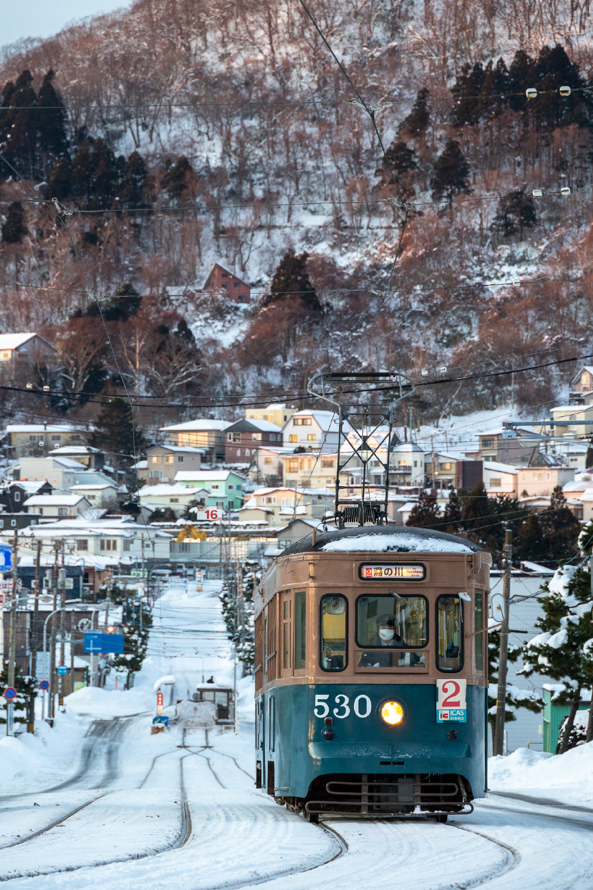 Хакодате, Nippon Sharyō Hakodate series 500 № 530