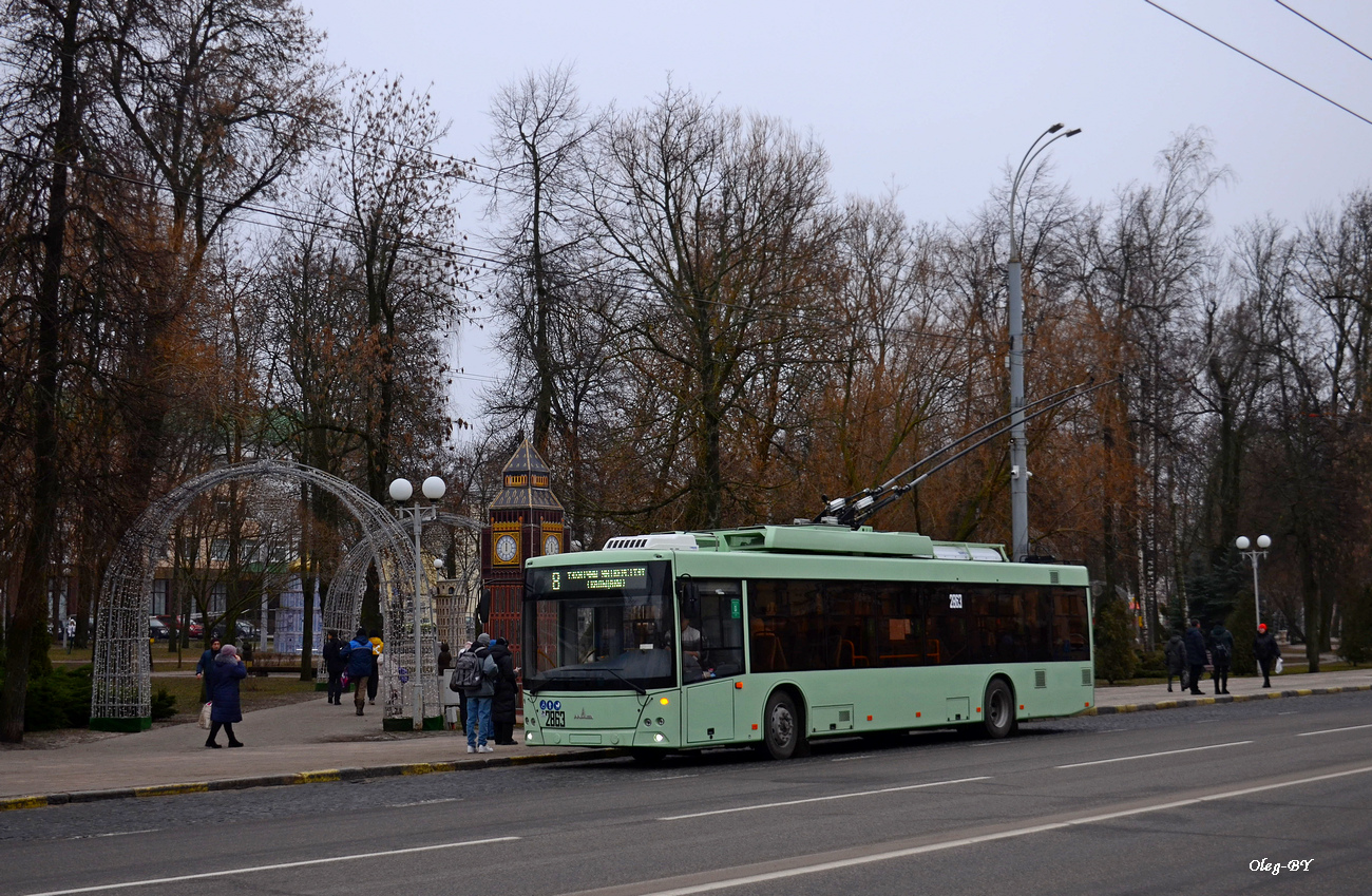 Гомель, МАЗ-203Т70 № 2863 Гомель, МАЗ-203Т70 № 2863