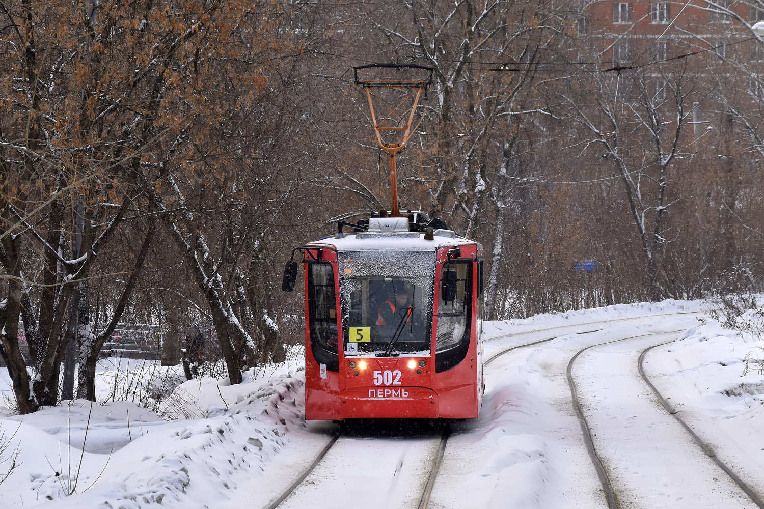 Пермь, 71-623-01 № 502