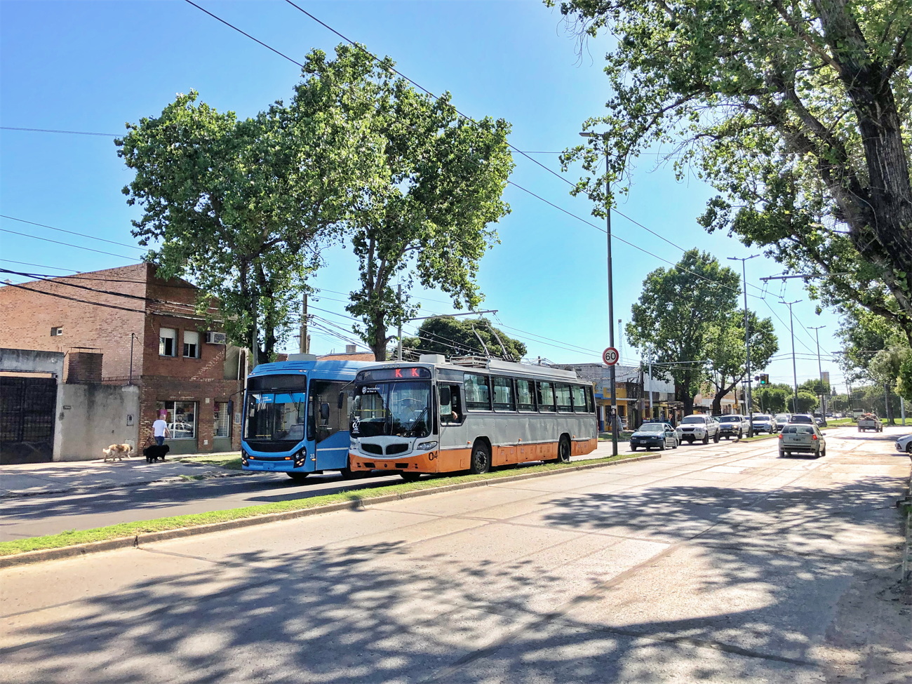 Росарио, Marcopolo Torino № 04