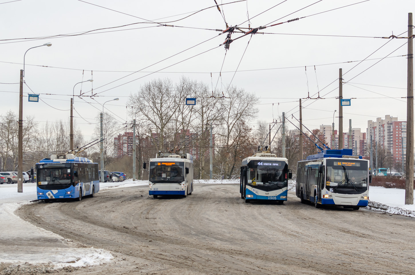 Санкт-Петербург, ВМЗ-5298.01 «Авангард» № 1065; Санкт-Петербург, Тролза-5265.00 «Мегаполис» № 1315; Санкт-Петербург, БКМ 321 № 1505; Санкт-Петербург, ВМЗ-5298.01 «Авангард» № 1218; Санкт-Петербург — Конечные станции и разворотные кольца Санкт-Петербург, ВМЗ-5298.01 «Авангард» № 1065; Санкт-Петербург, Тролза-5265.00 «Мегаполис» № 1315; Санкт-Петербург, БКМ 321 № 1505; Санкт-Петербург, ВМЗ-5298.01 «Авангард» № 1218; Санкт-Петербург — Конечные станции и разворотные кольца