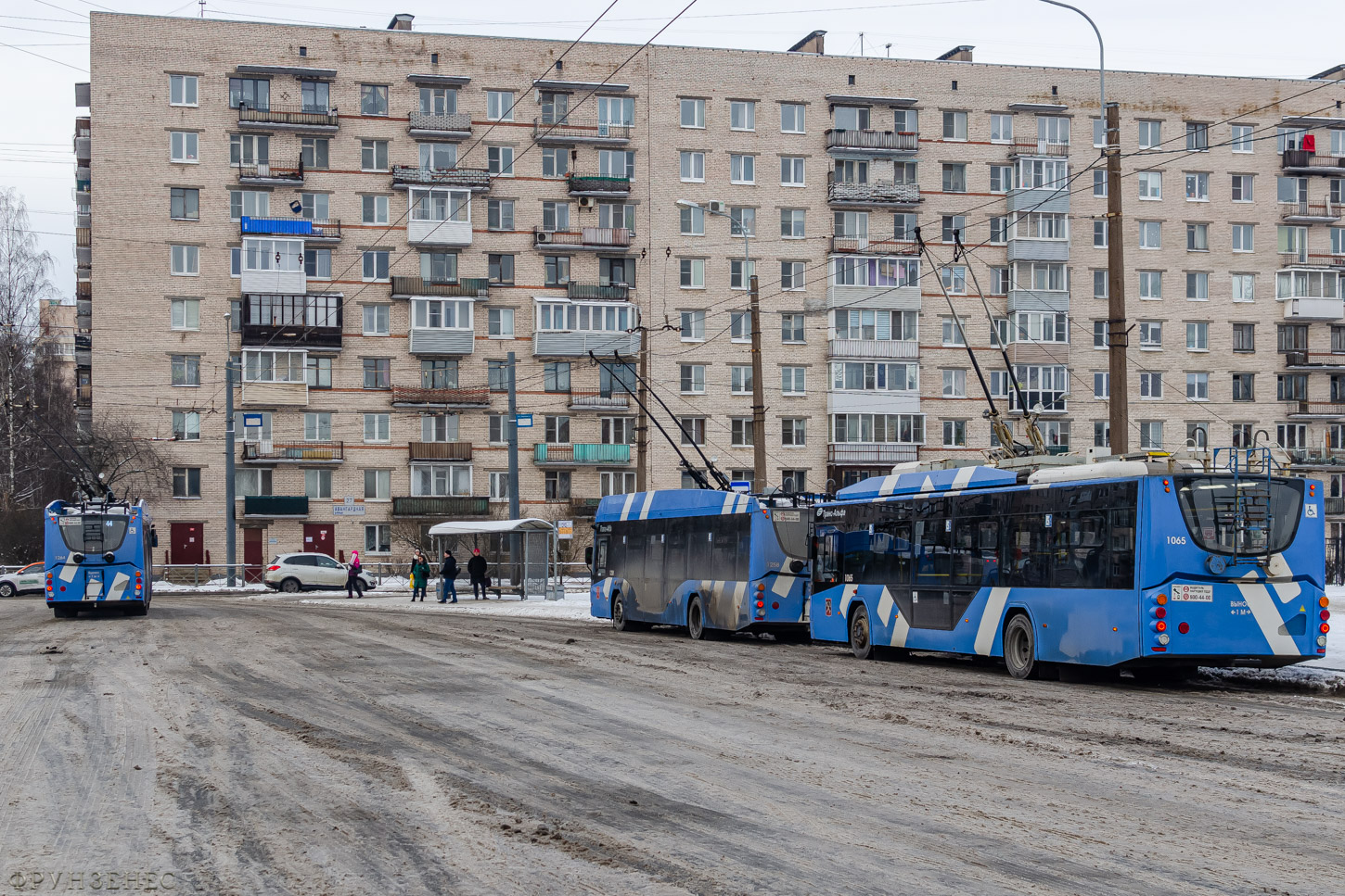 Санкт-Петербург, ВМЗ-5298.01 «Авангард» № 1264; Санкт-Петербург, ВМЗ-5298.01 «Авангард» № 1065; Санкт-Петербург — Конечные станции и разворотные кольца Санкт-Петербург, ВМЗ-5298.01 «Авангард» № 1264; Санкт-Петербург, ВМЗ-5298.01 «Авангард» № 1065; Санкт-Петербург — Конечные станции и разворотные кольца