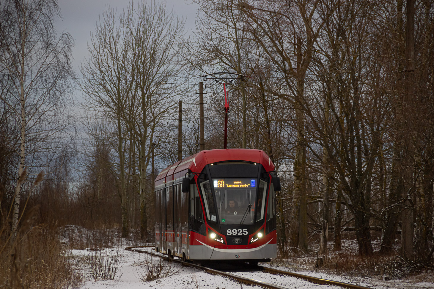 Санкт-Петербург, 71-931М «Витязь-М» № 8925