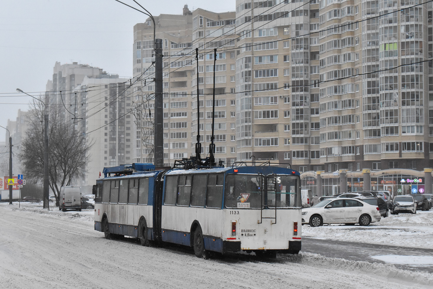 Санкт-Петербург, ЗиУ-683БМ1 № 1133