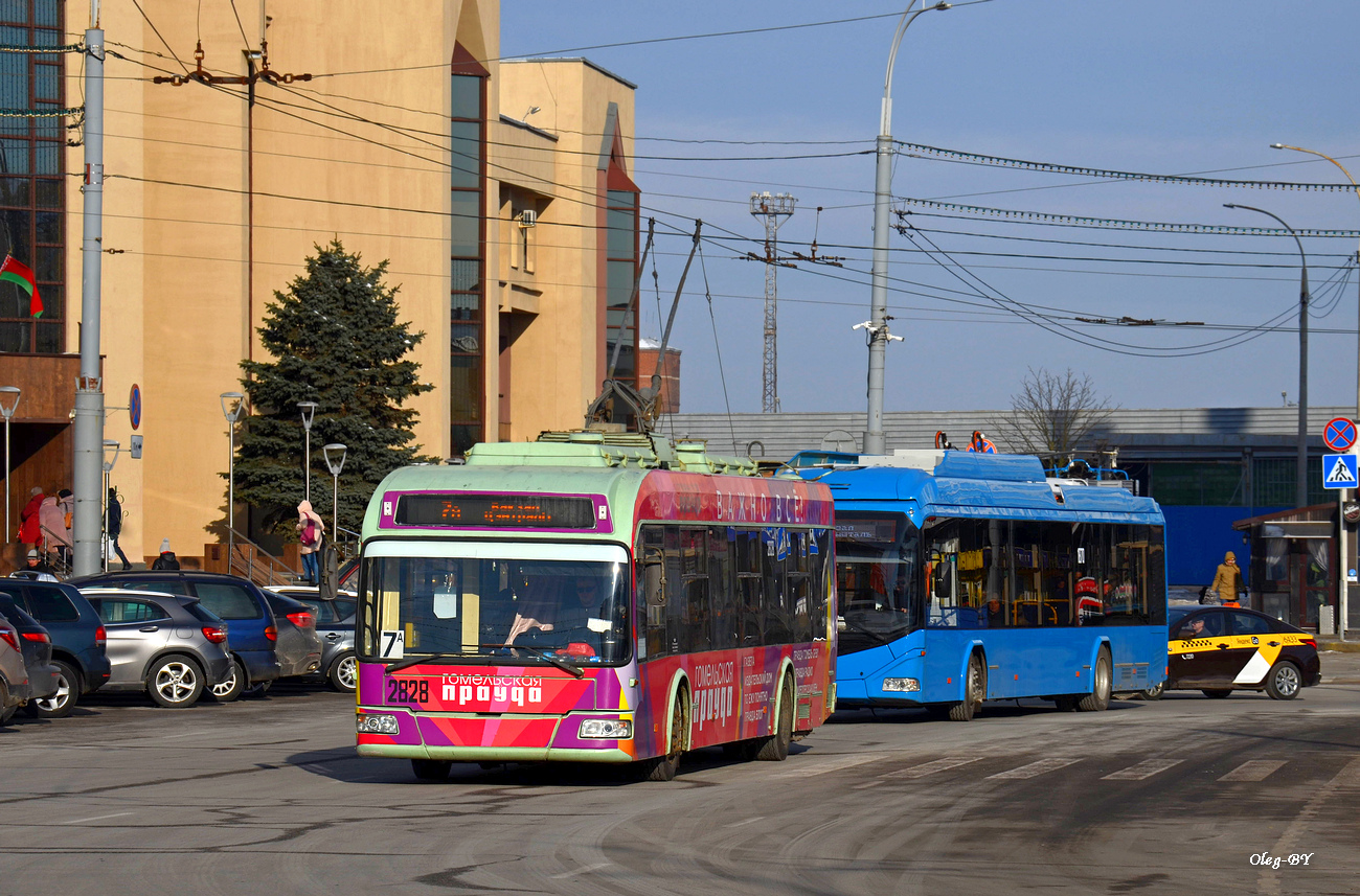 Homiel, BKM 321 # 2828