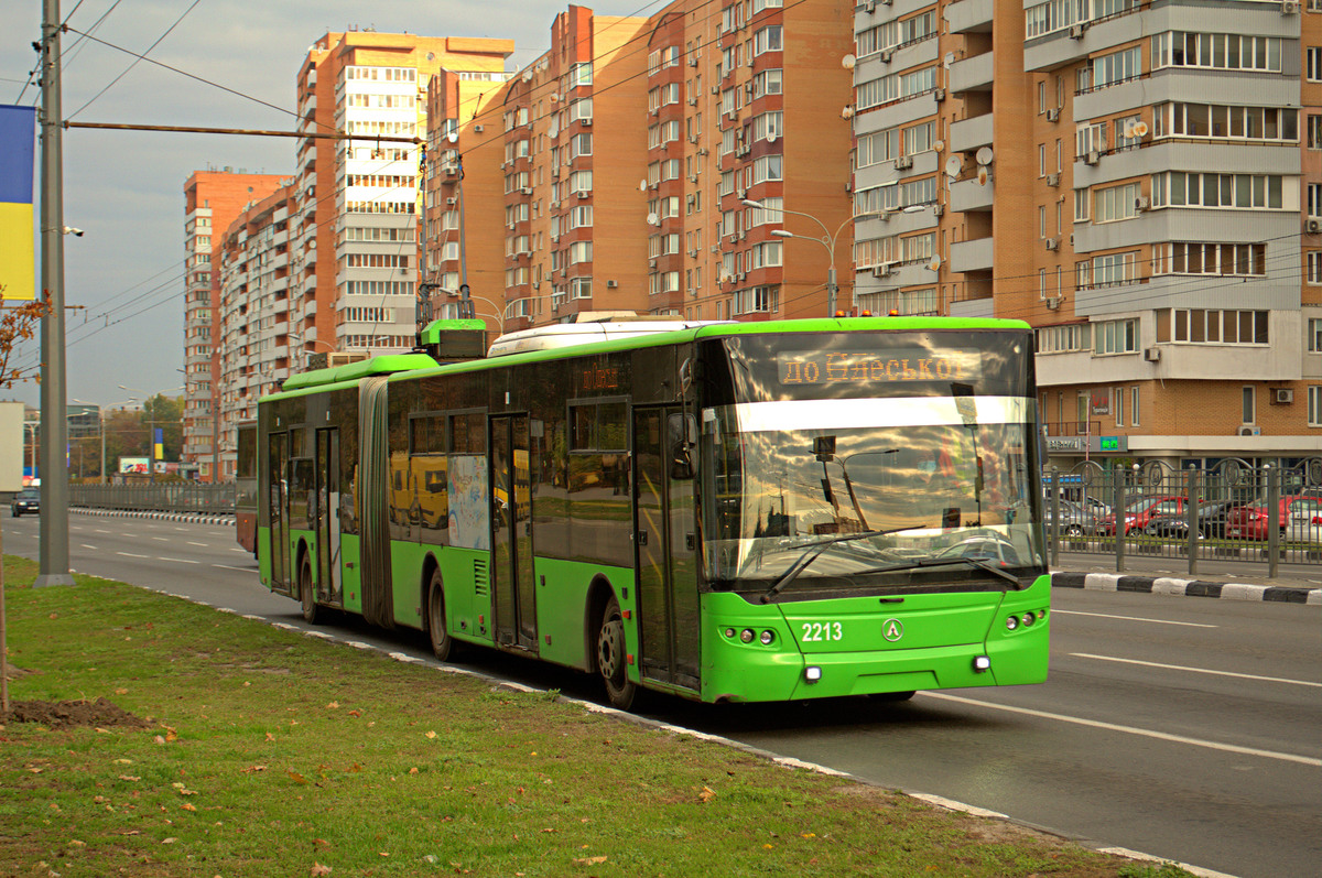 Харьков, ЛАЗ E301D1 № 2213
