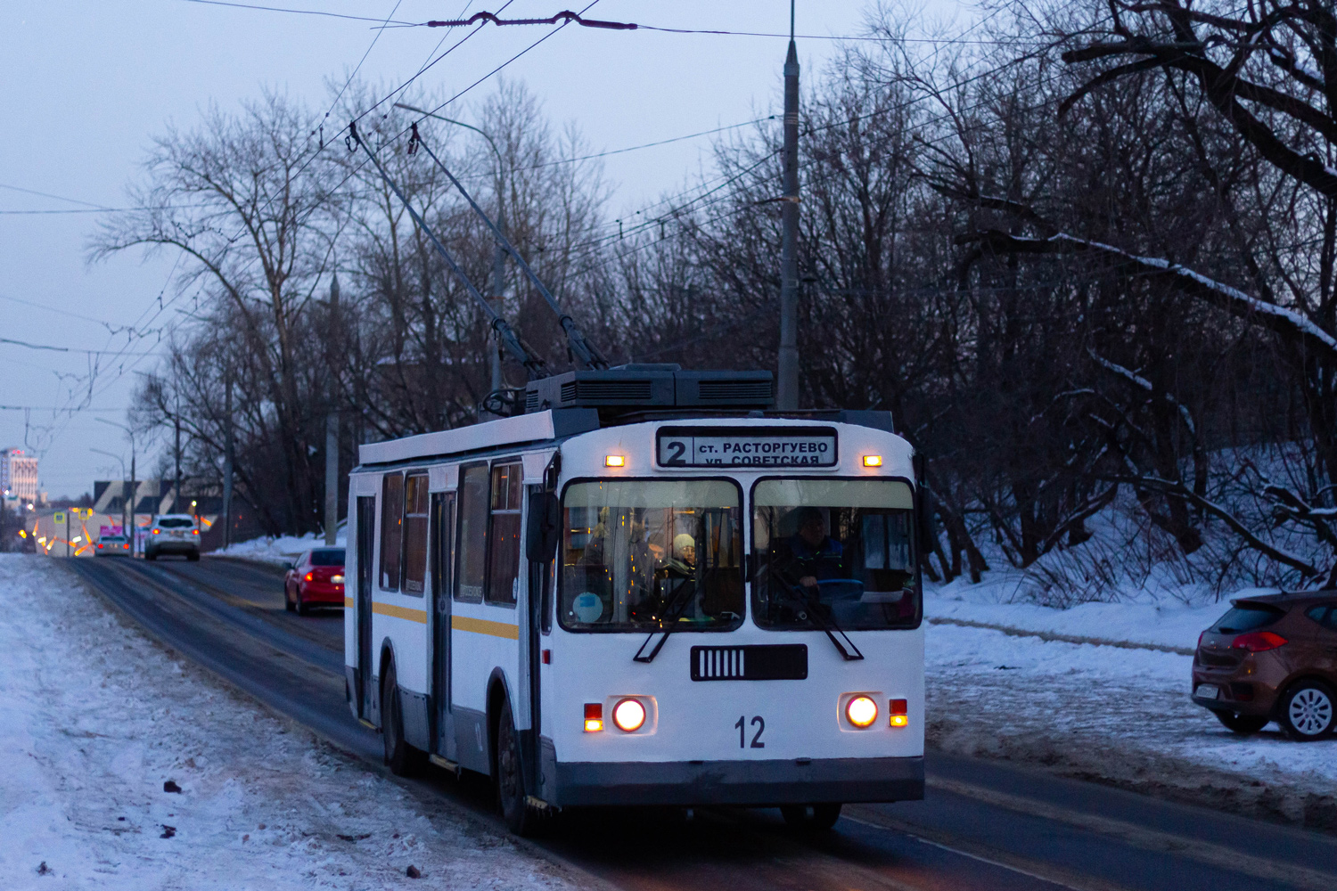 維德諾耶, ZiU-682G-017 [G0H] # 12