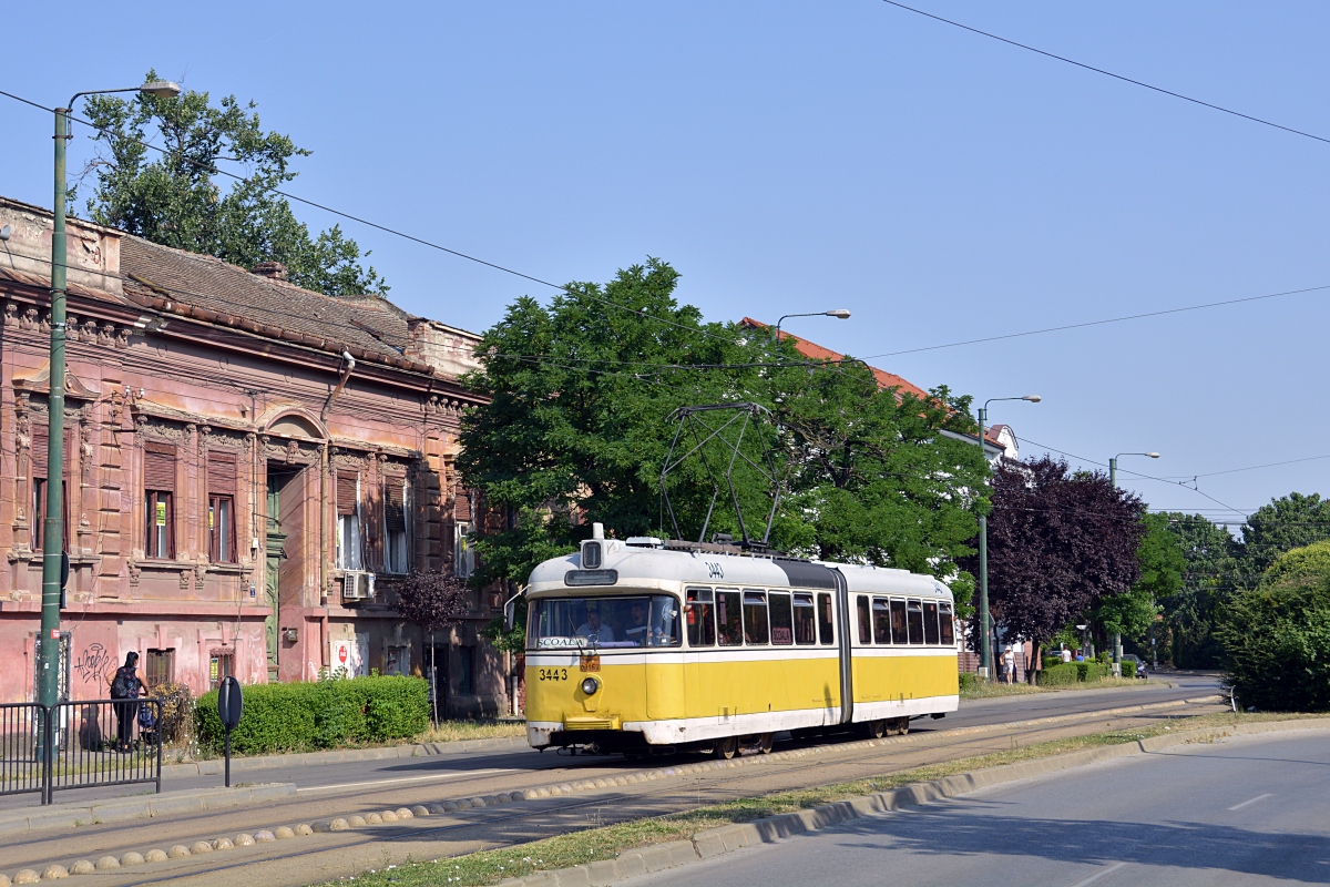 Тимишоара, Hansa GT4b № 3443 Тимишоара, Hansa GT4b № 3443