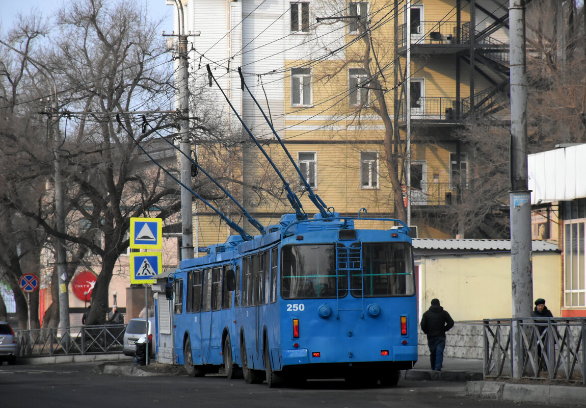 Владивосток, ЗиУ-682Г-016.02 № 250