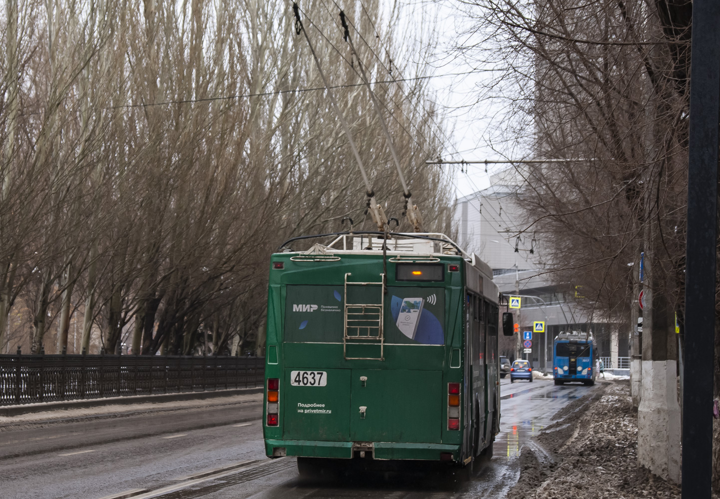 Волгоград, Тролза-5275.03 «Оптима» № 4637