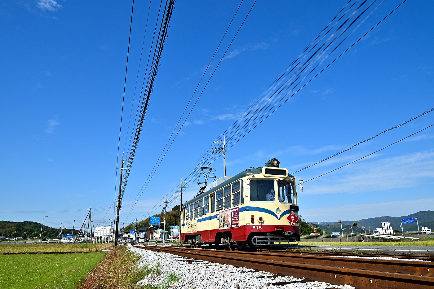 Коти, Tosaden № 615