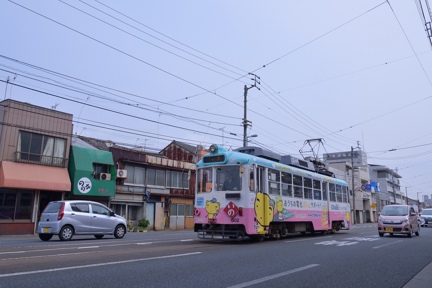 Коти, Tosaden № 602