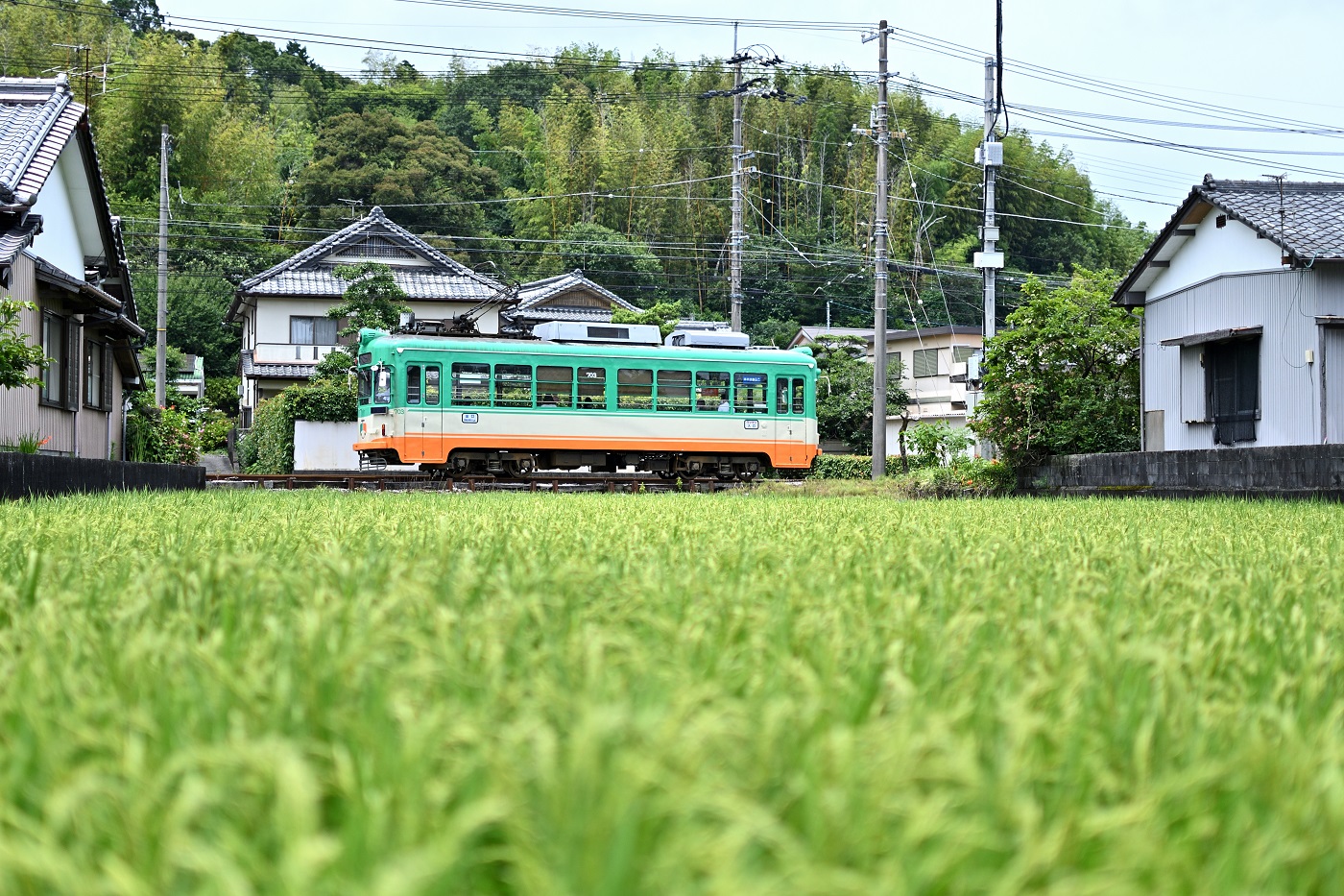 Коти, Naniwa Kōki № 703