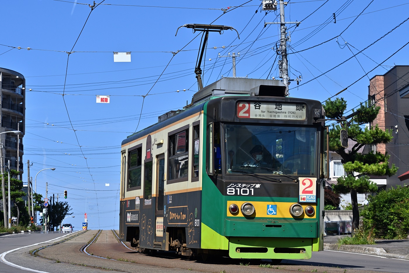 Hakodate, Hakodate series 8100 č. 8101