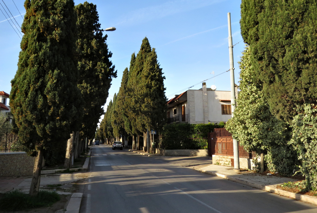 Bari — Trolleybus Lines and Infrastructure