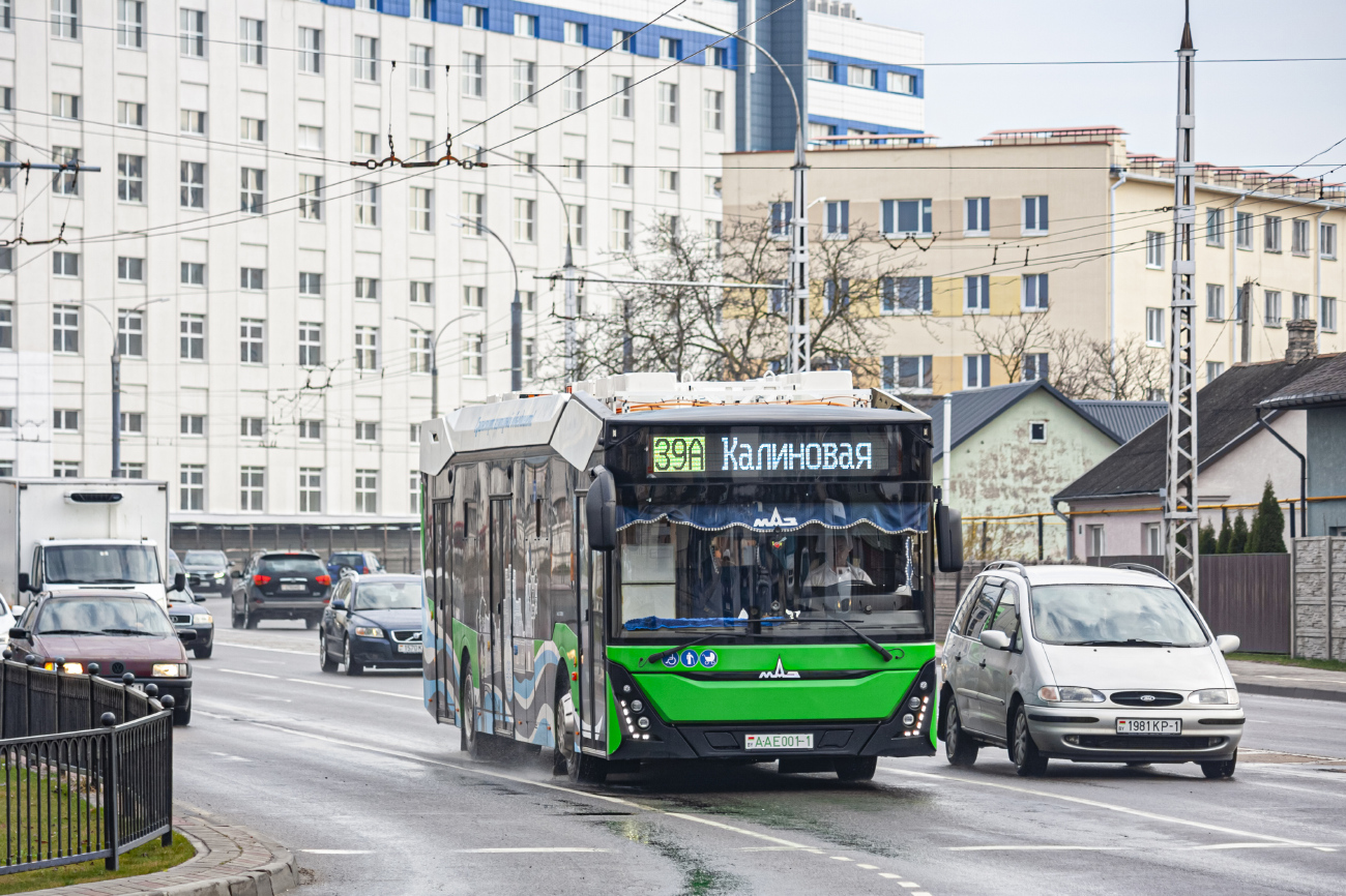 Брест, МАЗ-303Е10 № 160