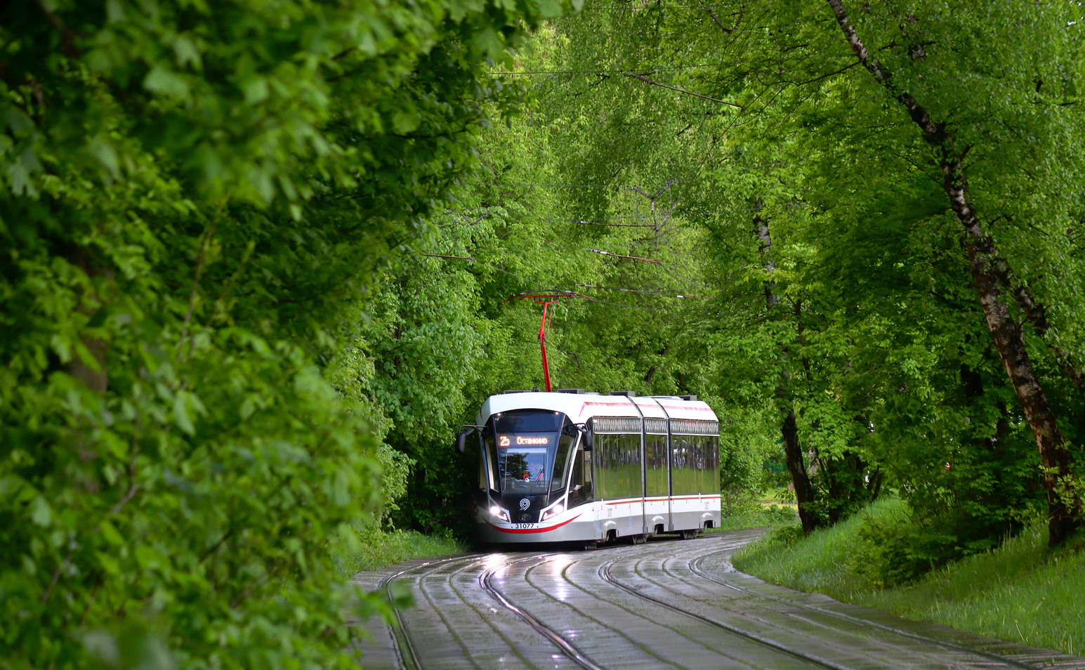 Москва, 71-931М «Витязь-М» № 31077