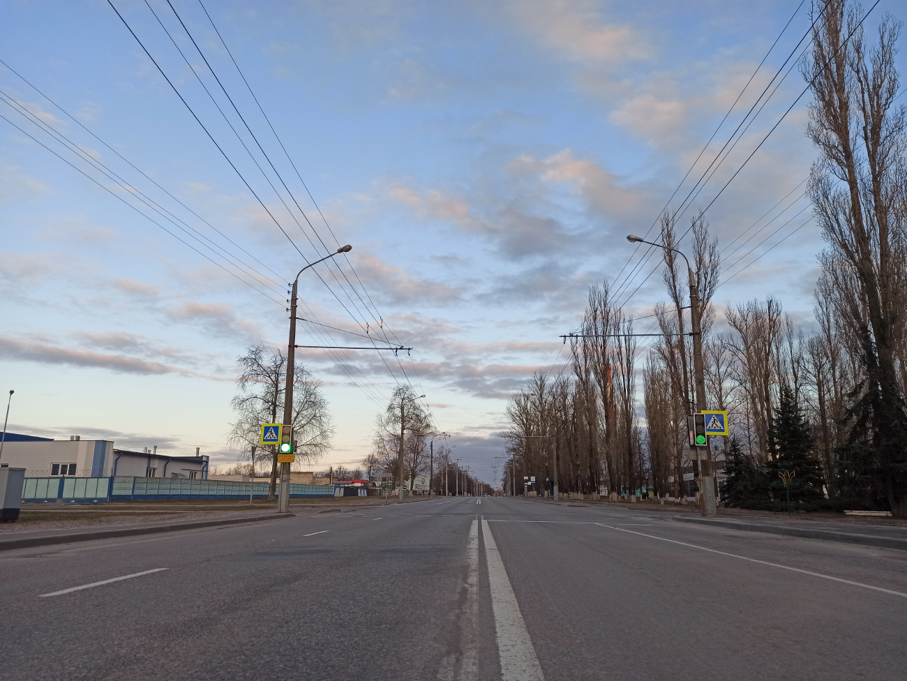 Гомель — Троллейбусные линии и инфраструктура