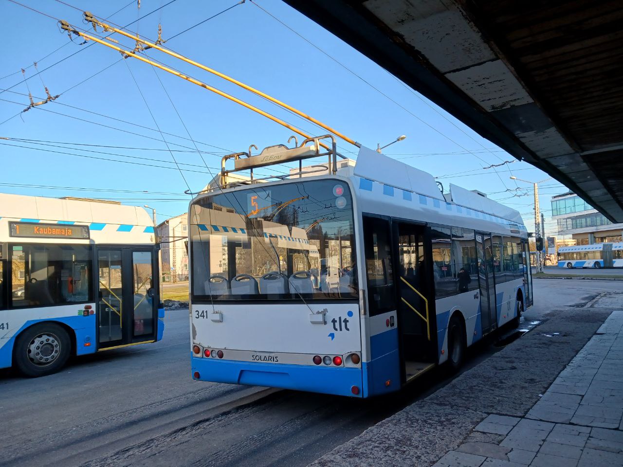 Талін, Solaris Trollino III 12 AC № 341