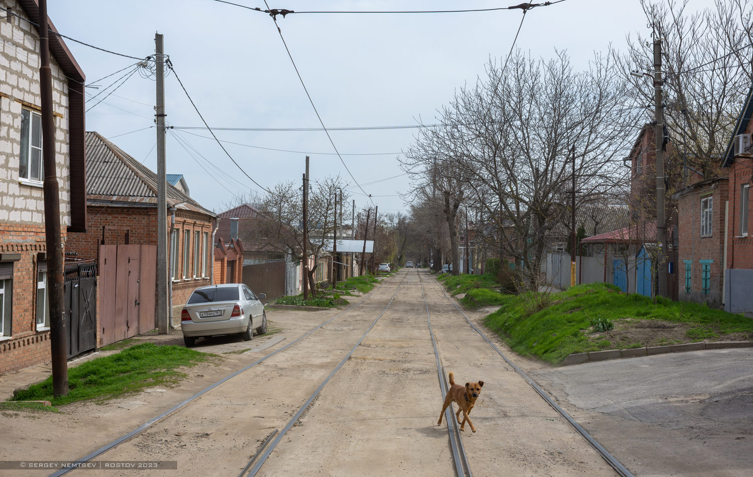 Ростов-на-Дону — Трамвайные линии и инфраструктура; Транспорт и животные