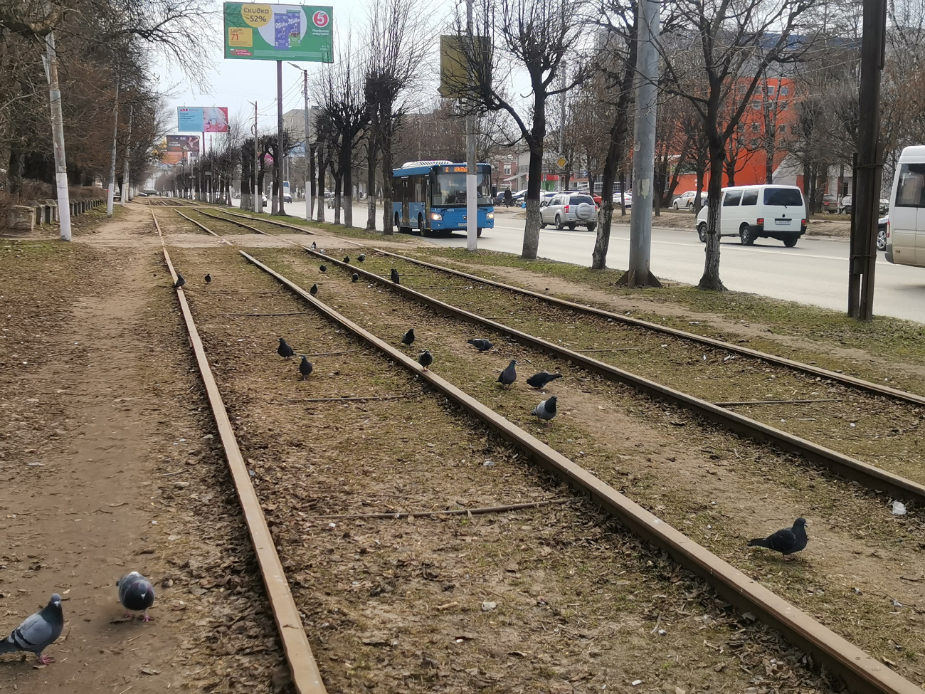 Twer — Closed tram lines; Transport and animals