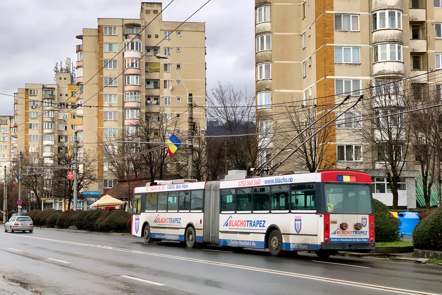 Бая-Маре, городской округ, Volvo/R&J/BBC-SAAS B10M-55 № 0080