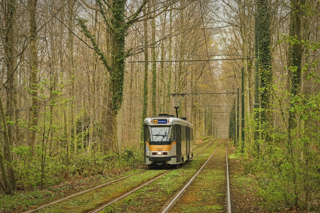 Brussels, BN PCC series 7700 № 7804