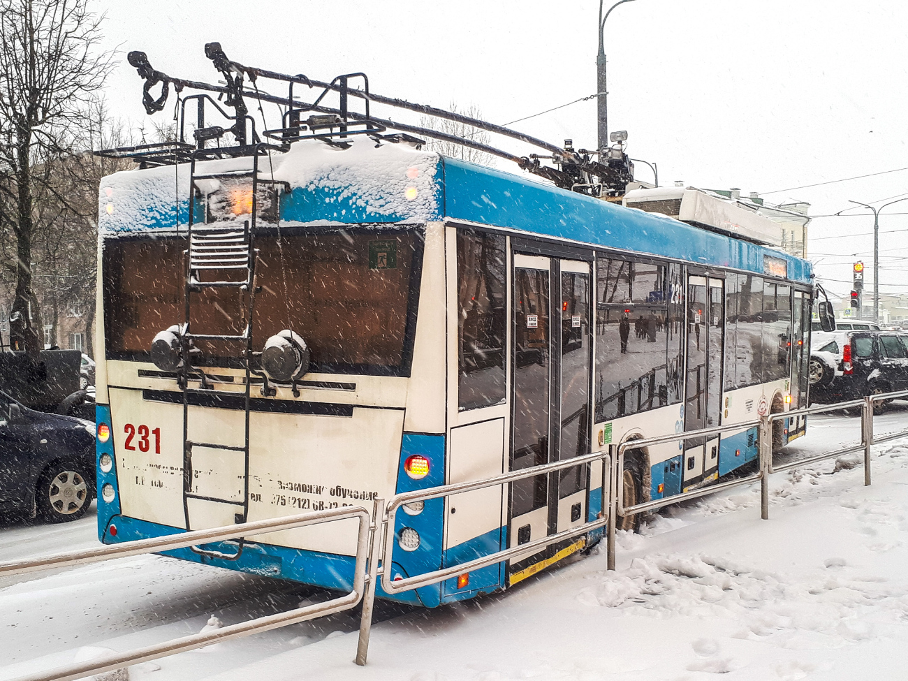 Витебск, МАЗ-203Т70 № 231