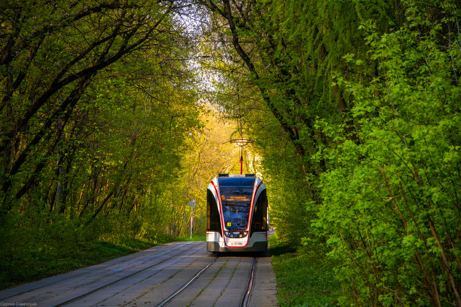 Москва, 71-931М «Витязь-М» № 31109