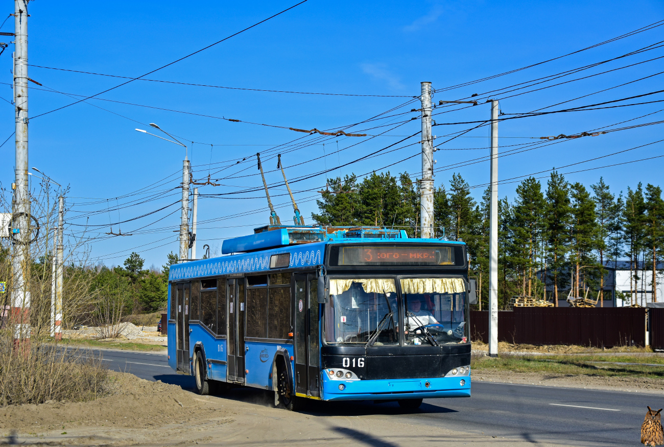 Дзержинск, СВАРЗ-МАЗ-6235.00 № 016