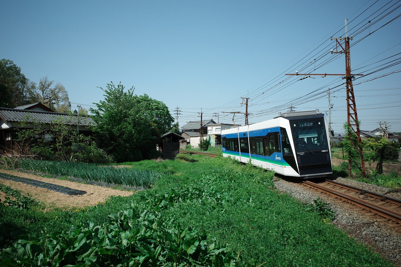 Фукуи, Little Dancer L № F2001