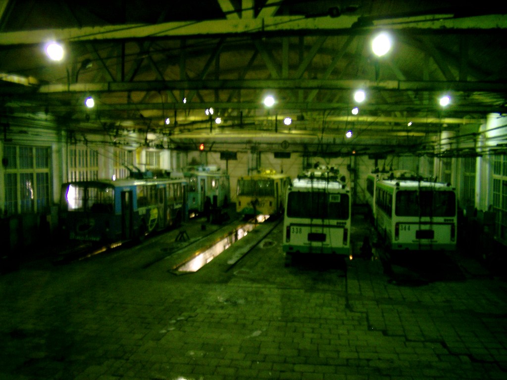Петрозаводск, ЛиАЗ-5280 (ВЗТМ) № 344; Петрозаводск, ЛиАЗ-5280 (ВЗТМ) № 338; Петрозаводск, ЗиУ-682В [В00] № 219; Петрозаводск, ЗиУ-682Г [Г00] № 282; Петрозаводск — Разные фотографии