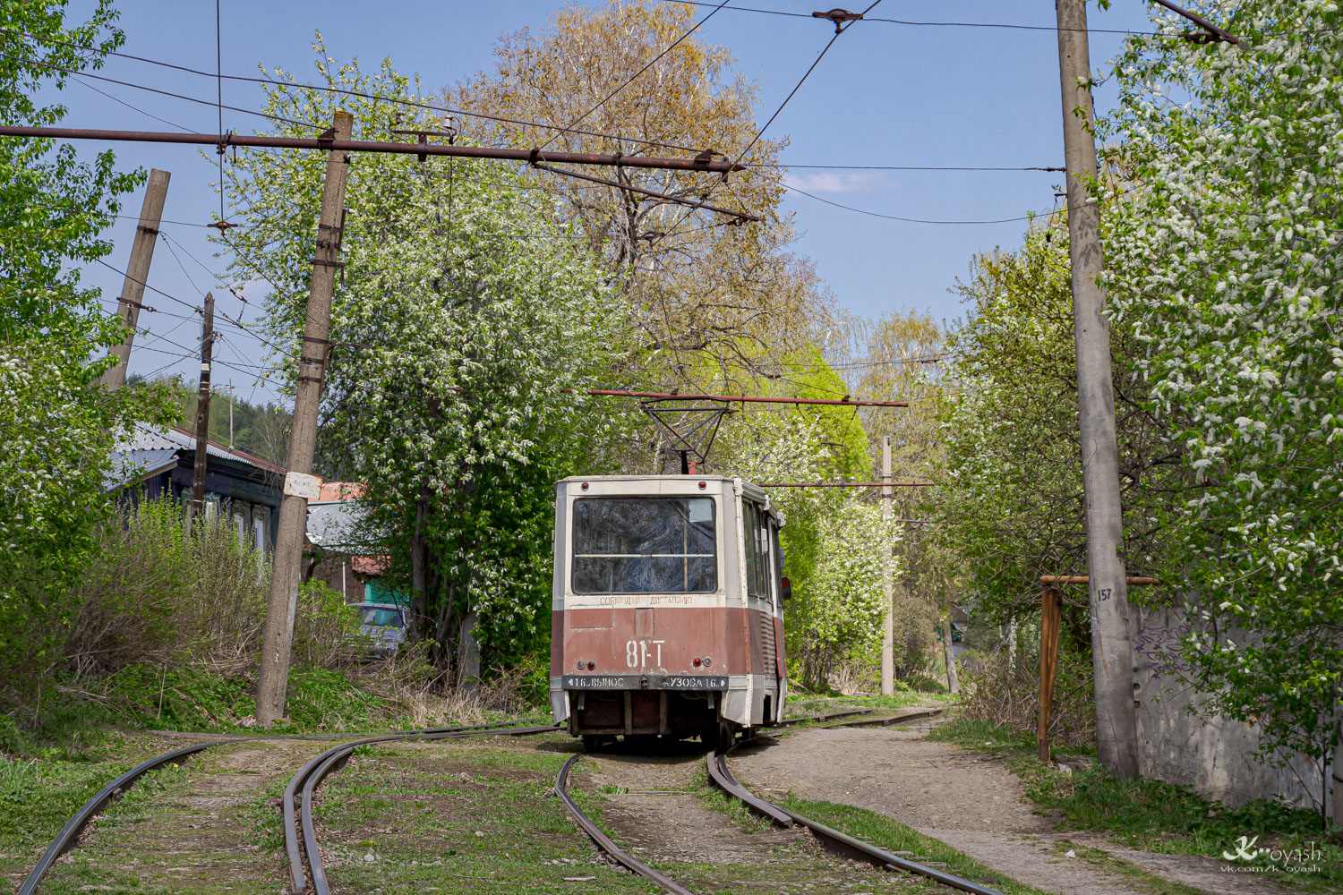 Златоуст, 71-605 (КТМ-5М3) № 81