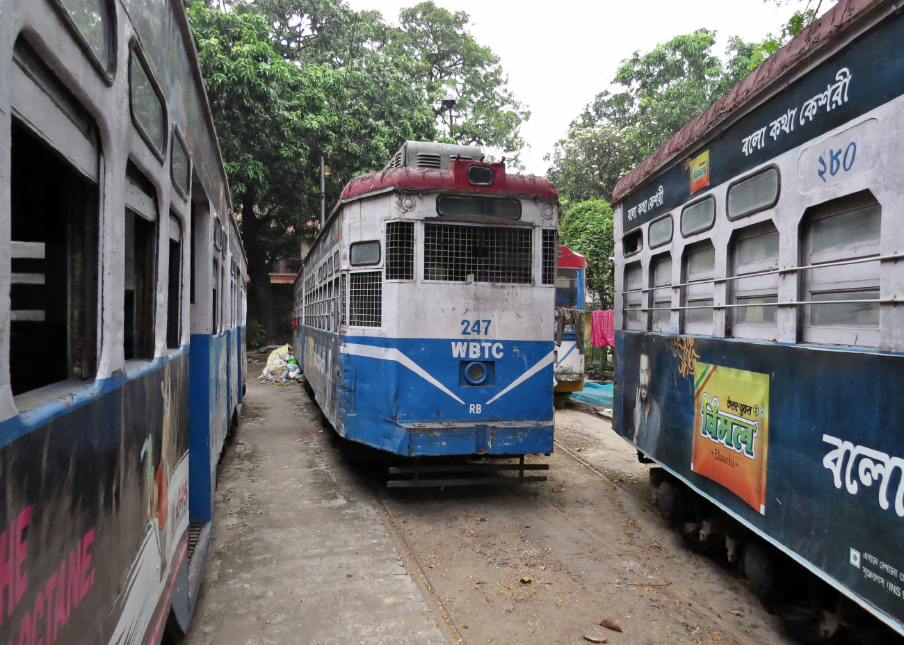 Калькутта, Series 207-281 № 247 (২৪৭)