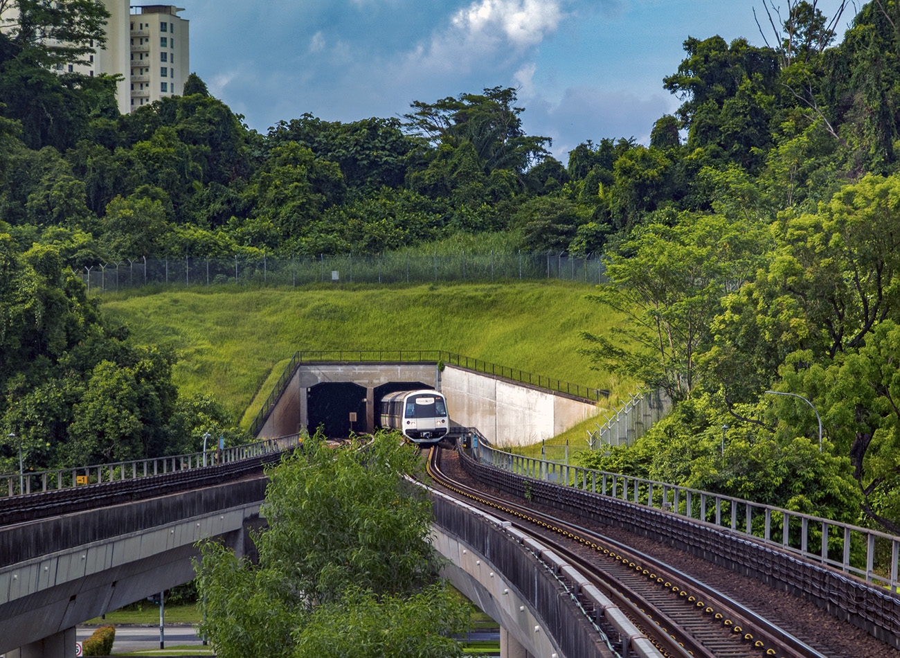 Сингапур — Метрополитен — [1] North South Line (NSL)