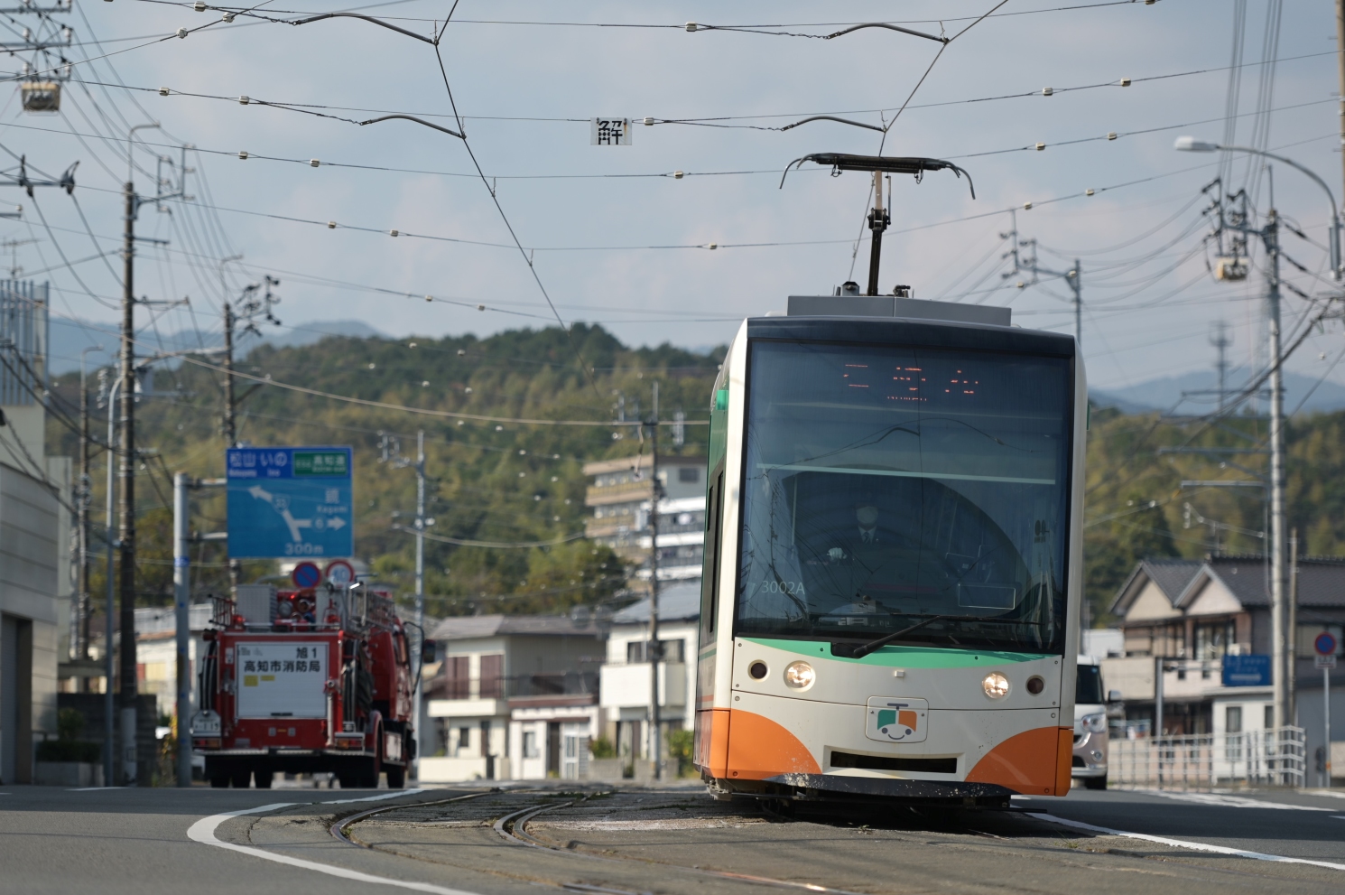 Kochi, Little Dancer Ua № 3002