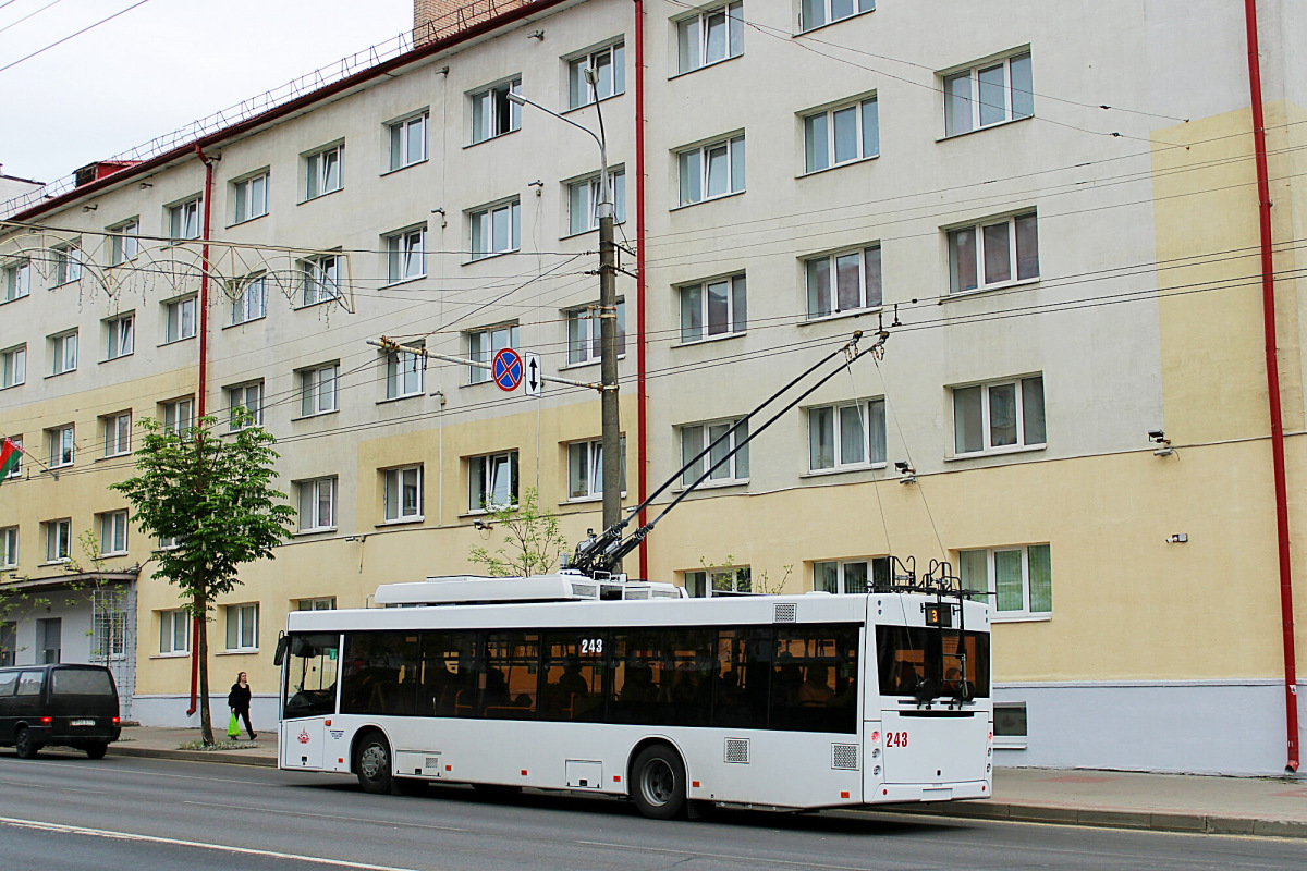 Витебск, МАЗ-203Т70 № 243