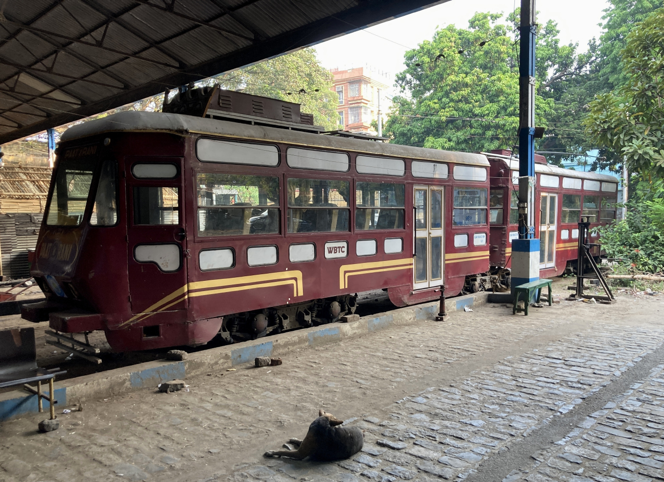 Калькутта, Calcutta Class S № 568; Калькутта — Kolkata Tram World Museum; Транспорт и животные