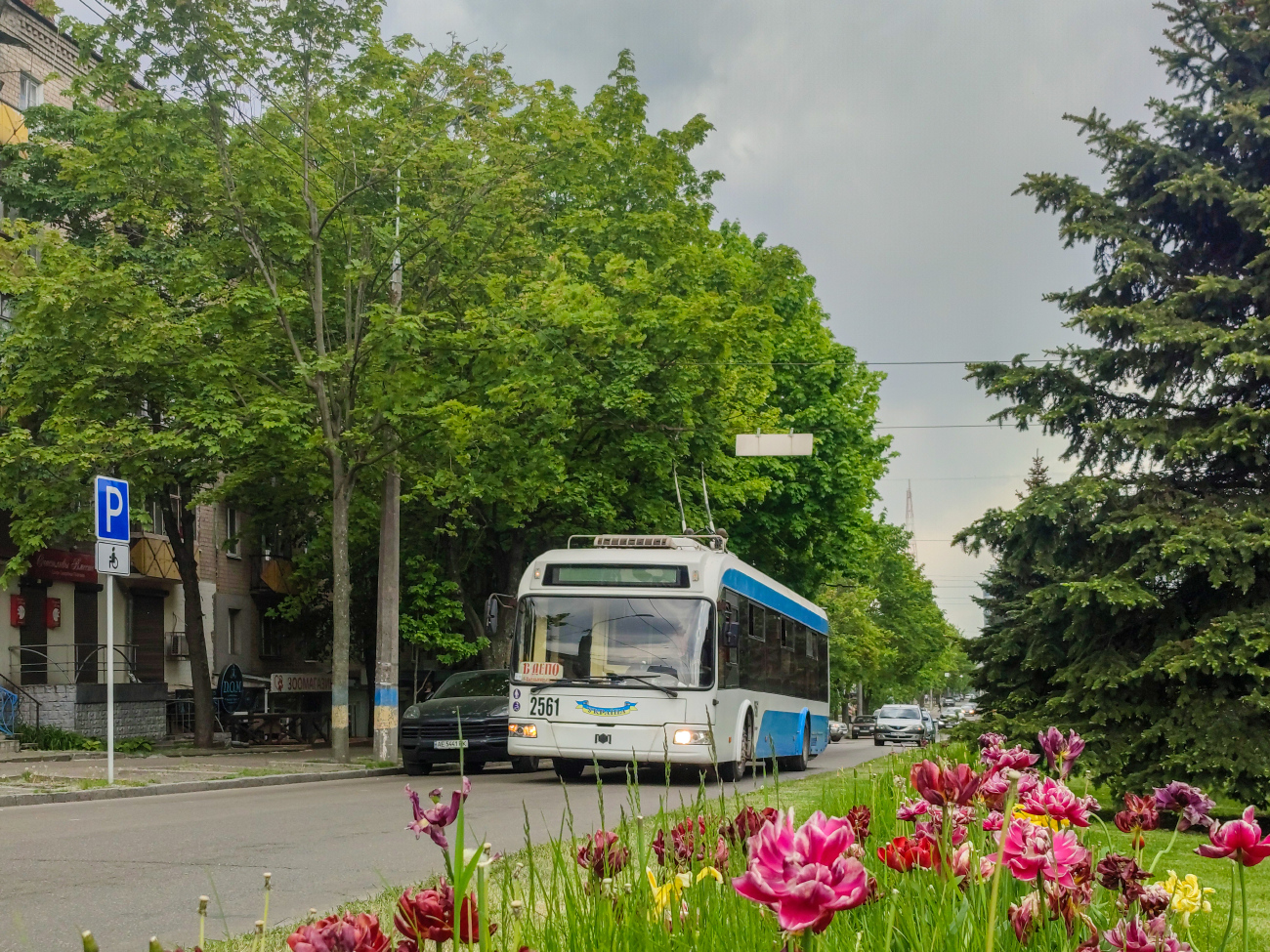 Dnjepar, BKM 321 Br. 2561