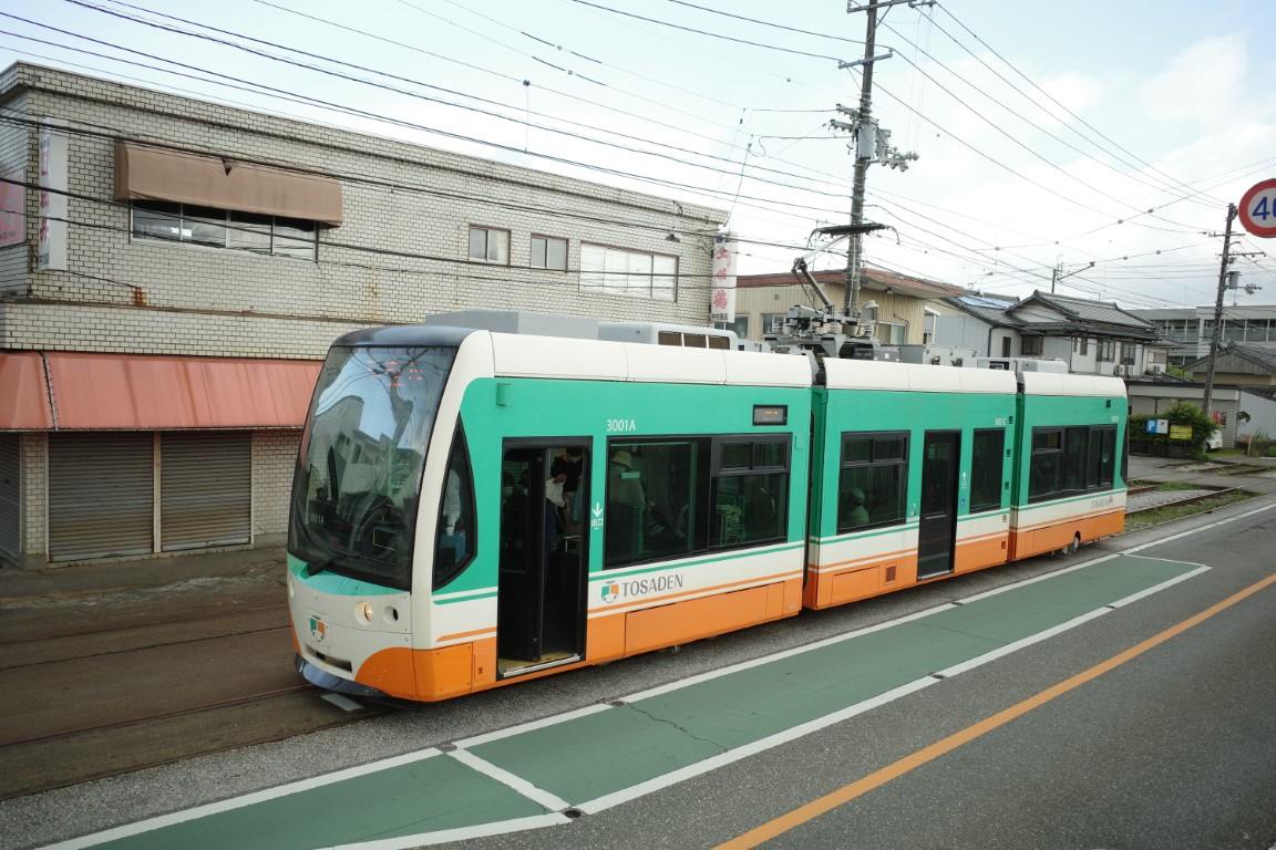 Коти, Little Dancer Ua № 3001