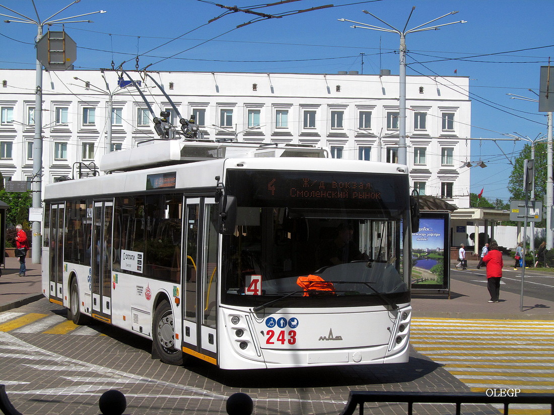 Витебск, МАЗ-203Т70 № 243