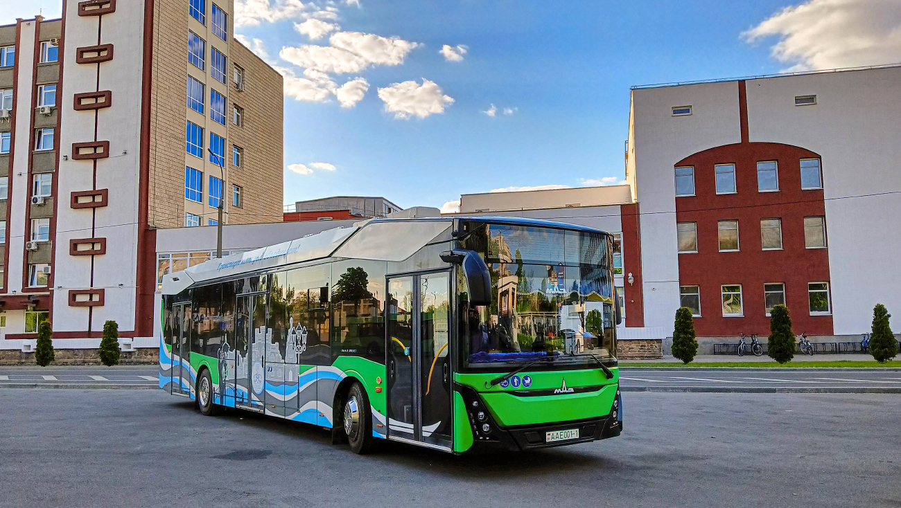 Брест, МАЗ-303Е10 № 160