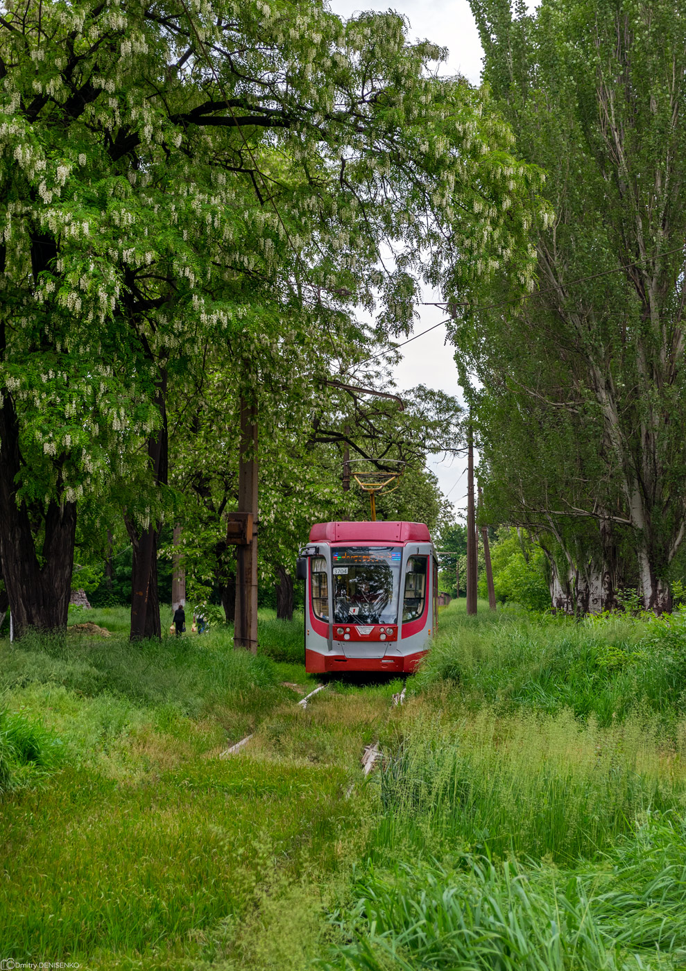 Енакиево, 71-623-03.01 № 3704