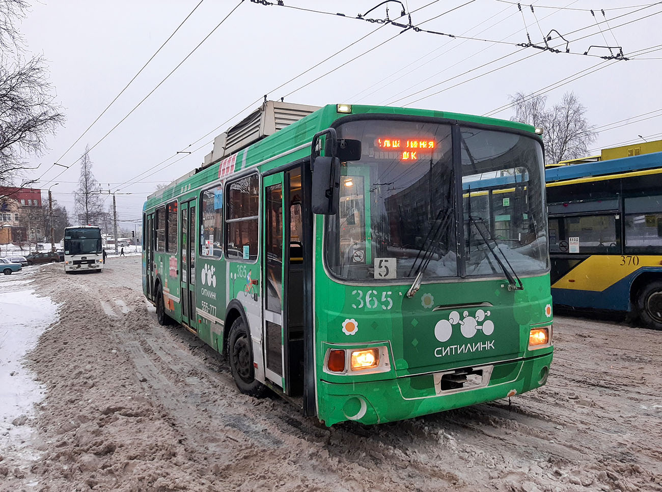 Petrozavodszk, LiAZ-5280 — 365