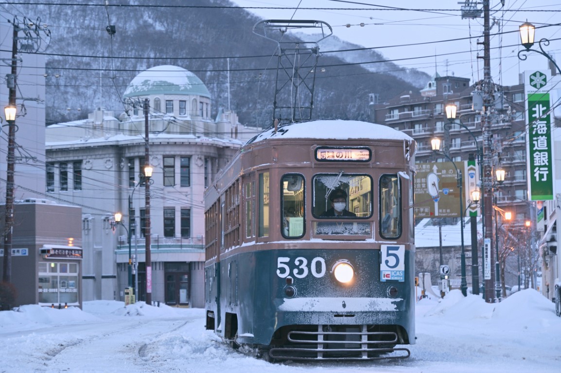 Хакодате, Nippon Sharyō Hakodate series 500 № 530
