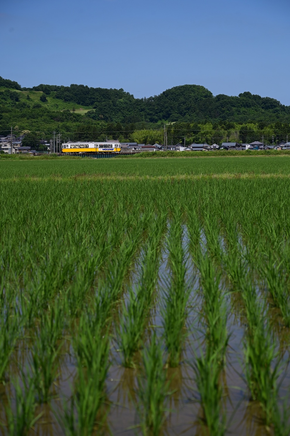 Fukui, Esslingen GT4 Br. 735