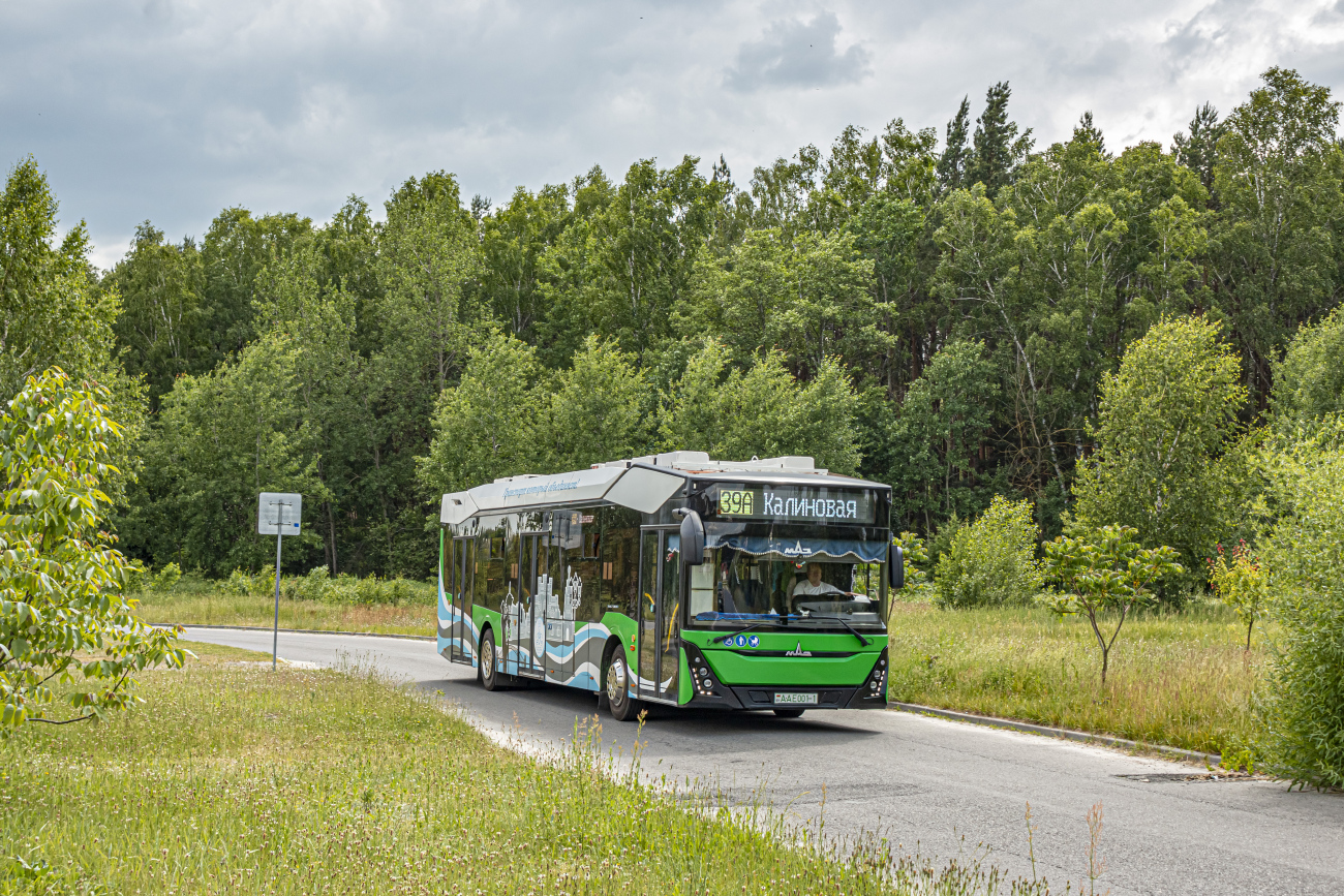 Брест, МАЗ-303Е10 № 160