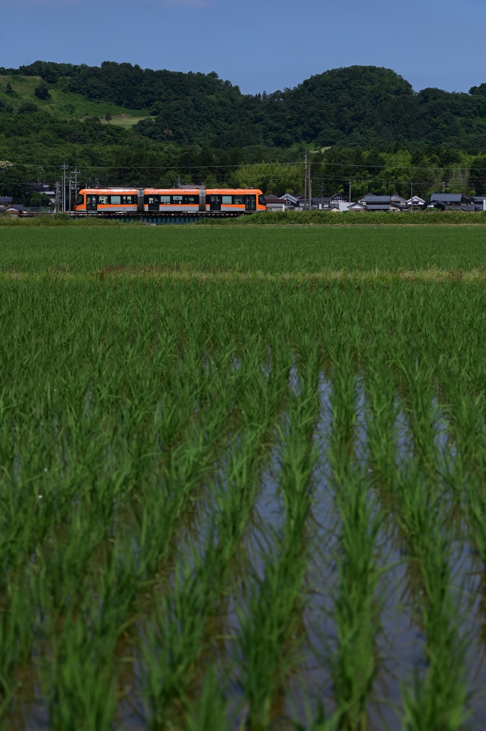 Фукуи, Niigata № F1001