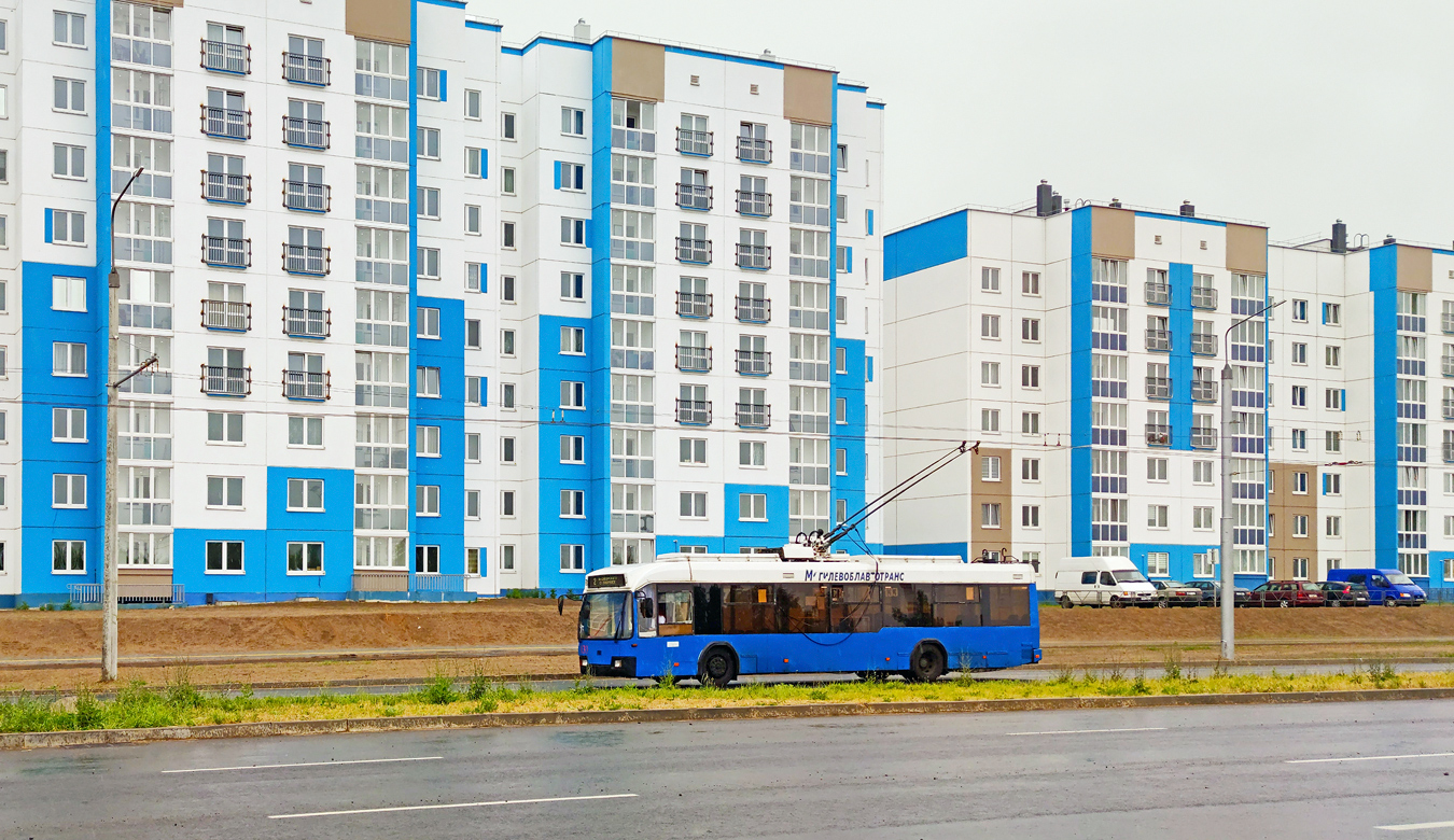 Bobruiska, BKM 32102 № 133